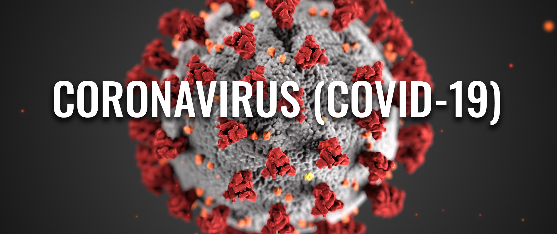 Coronavirus Resource Center - Harvard Health